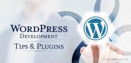 wordpress best practices for developers
